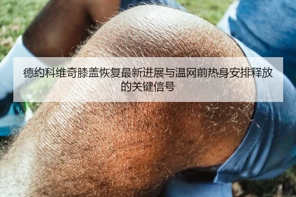 德约科维奇膝盖恢复最新进展与温网前热身安排释放的关键信号